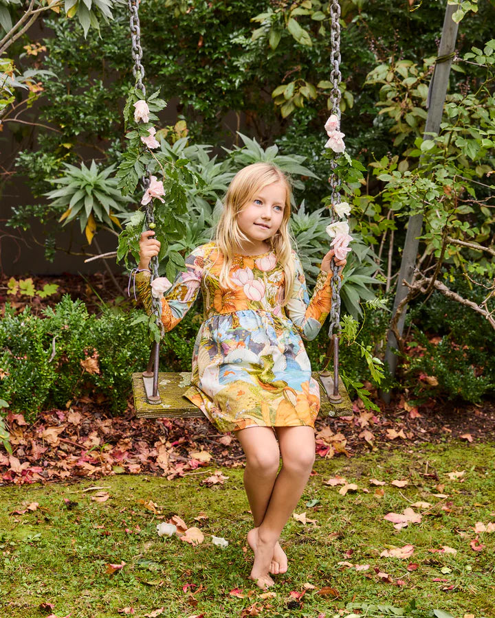 Fairyland Dress