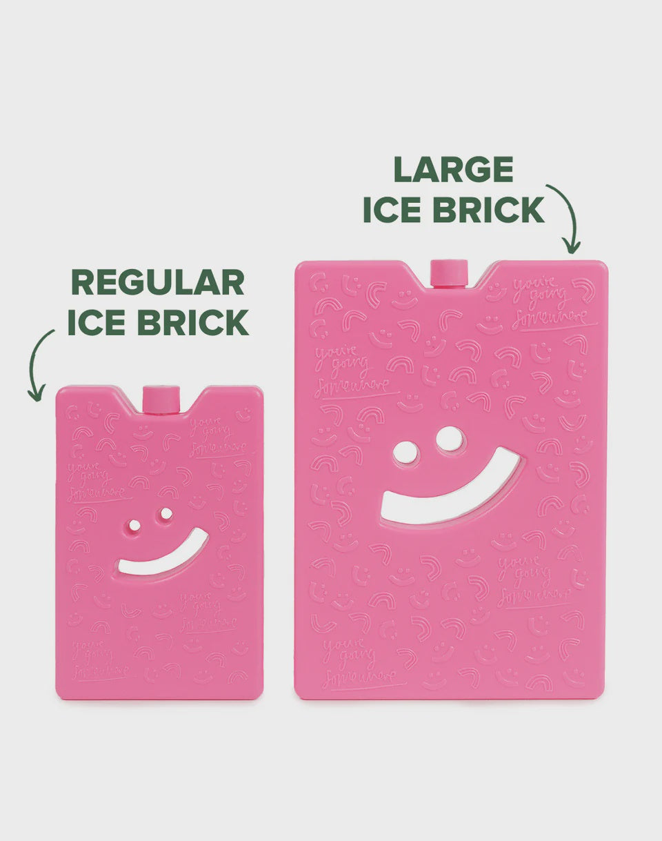 Large Ice Brick